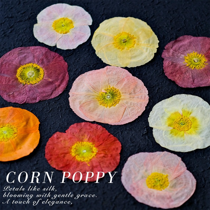 1pcs,Nature Field Poppy Presse - Art And Craft Photos recension och pris