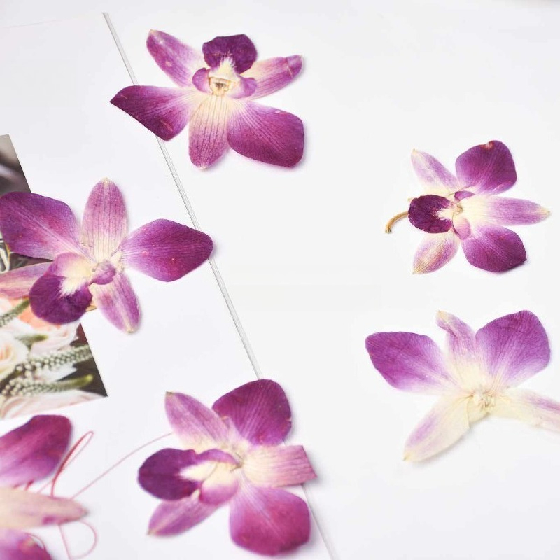 4pcs,Real Pressed Butterfly Or - Art And Craft Photos recension och pris