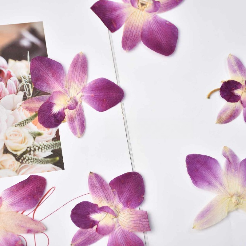4pcs,Real Pressed Butterfly Or - Art And Craft Photos recension och pris