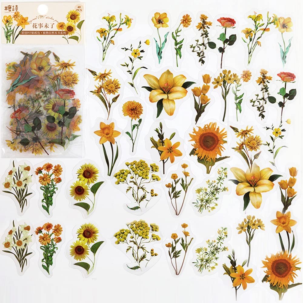 40 Pcs Scrapbook Stickers PET  - Art And Craft Photos recension och pris